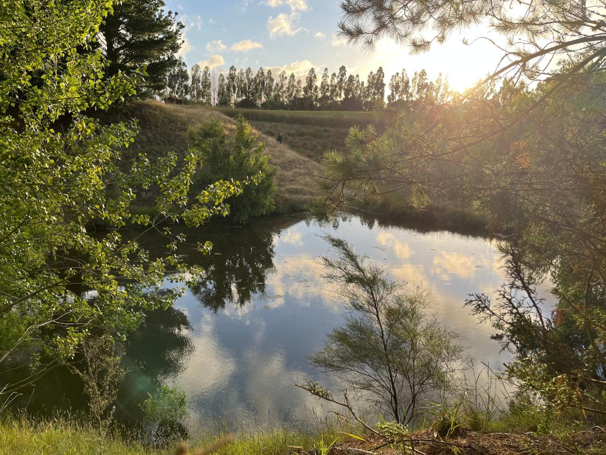 A Cabin With A Big View, Comfort And Tranquility, Close To Vines Martinborough Zewnętrze zdjęcie