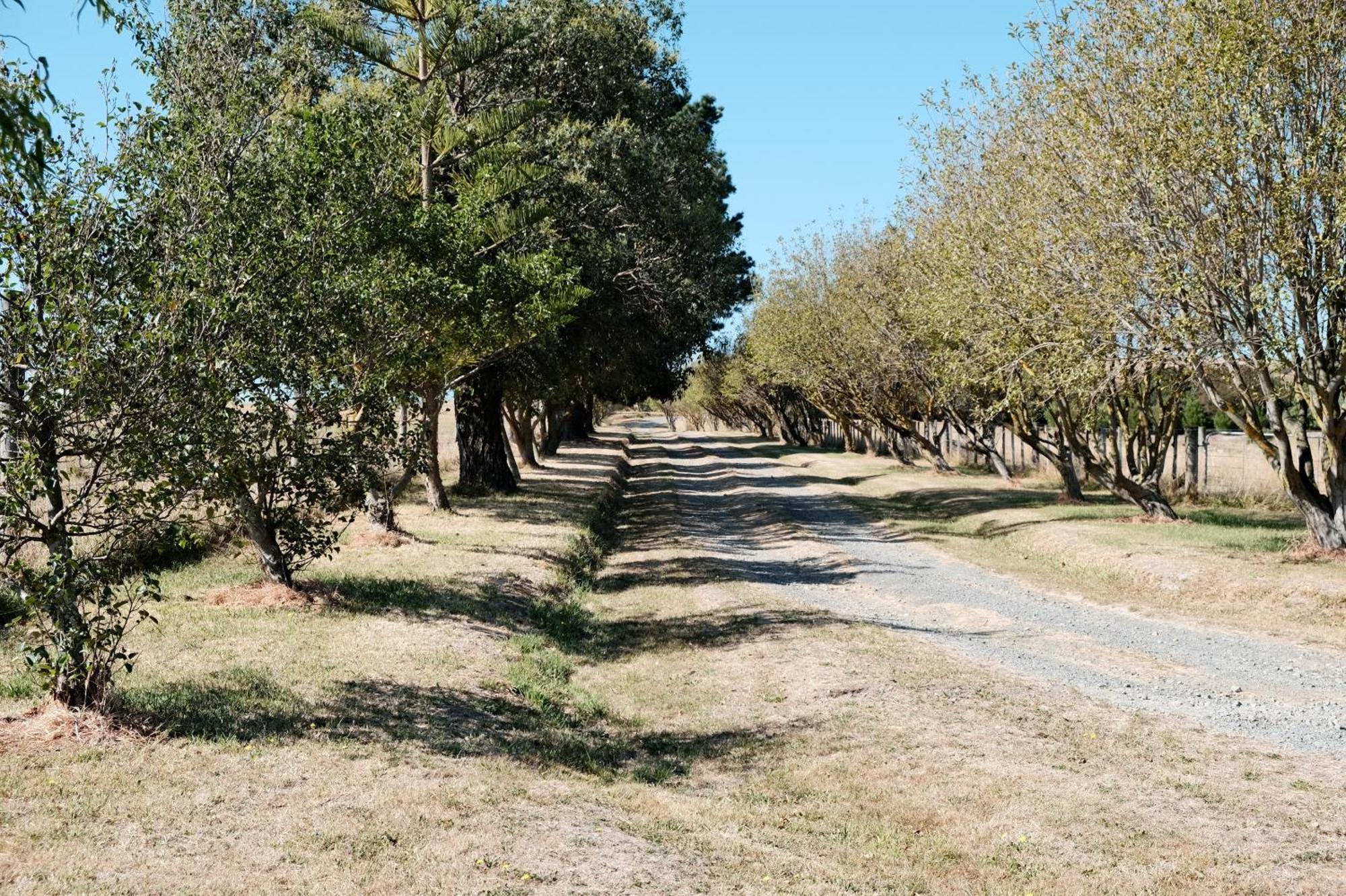 A Cabin With A Big View, Comfort And Tranquility, Close To Vines Martinborough Zewnętrze zdjęcie